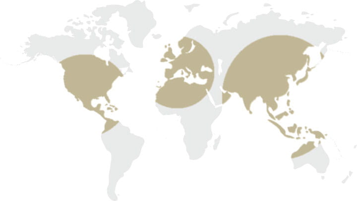 glocalization_Trelleborg-Boots_regions